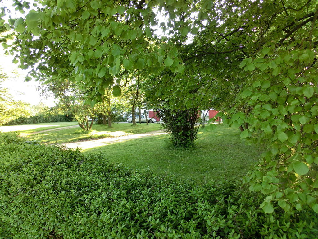 Apartment Lindenhof Hahn Blankenrath